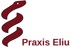 Logo Praxis Eliu Praxis Eliu_logo_